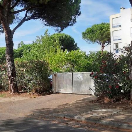 T 2 Mottland 300 M Plage Λα Γκραντ-Μοτ Εξωτερικό φωτογραφία